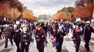  "Million Mask March" November 5, 2013 in Washington, DC